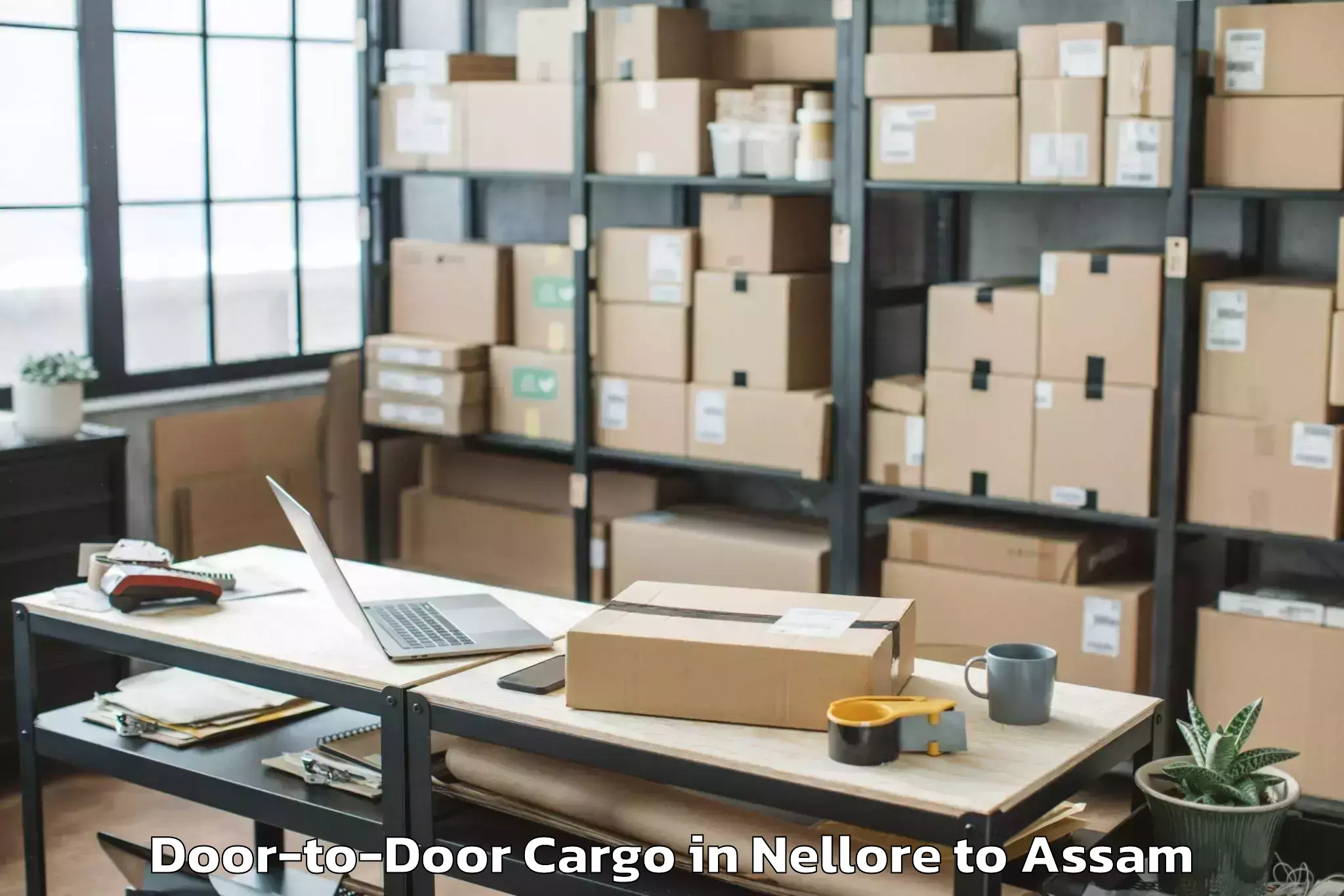 Professional Nellore to Sonapur Door To Door Cargo